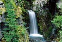 Mt. Rainier Snowshoe